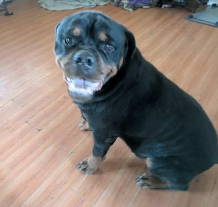 Photo of Ennis