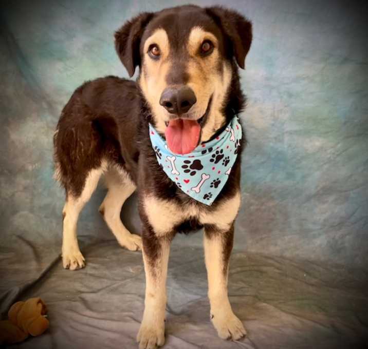 Photo of MAX
