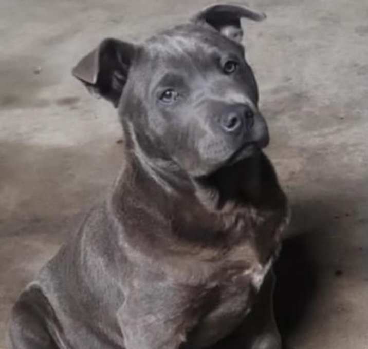 Photo of HADES
