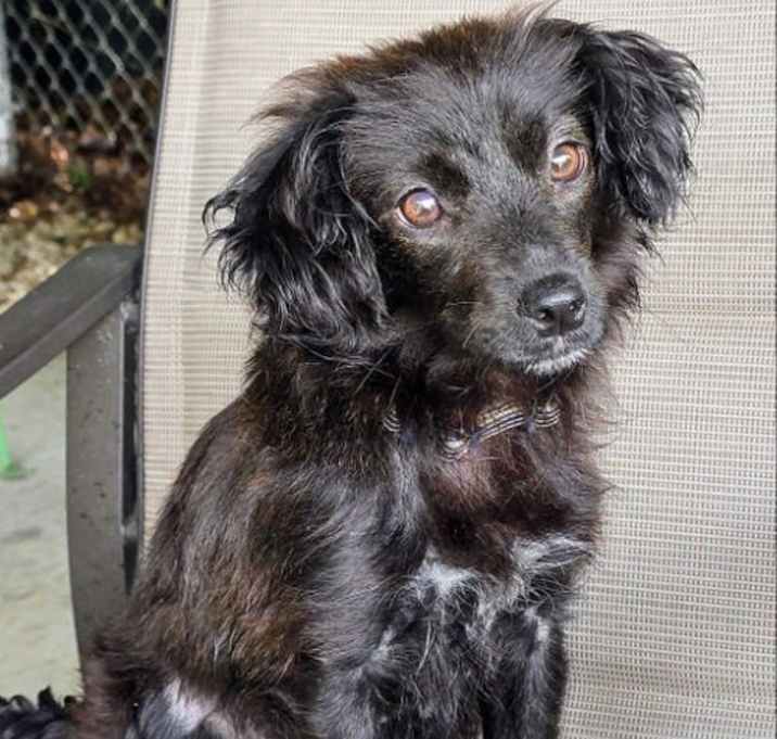 Photo of Daisy Mae