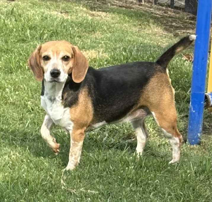 Photo of Lizzie