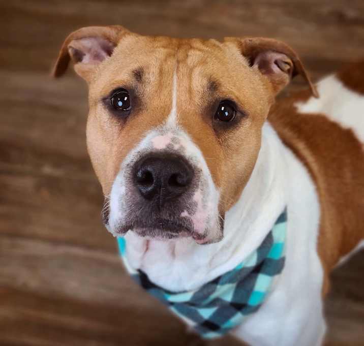 Photo of J.R. Cash (sponsored)