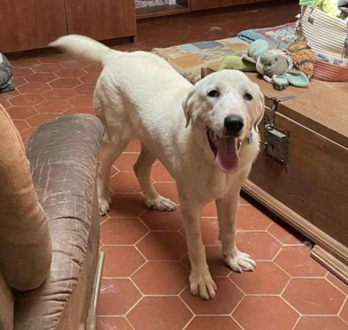 Photo of William Wallace