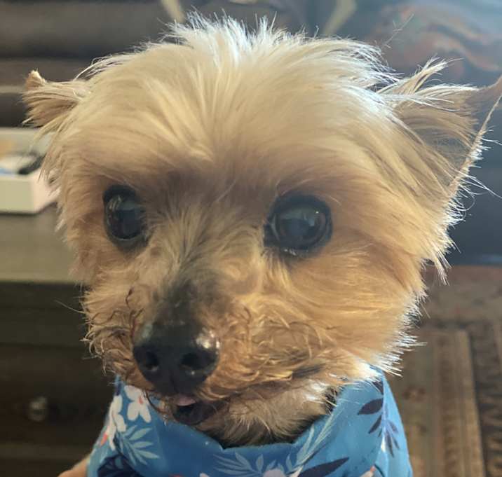 Photo of Eddie
