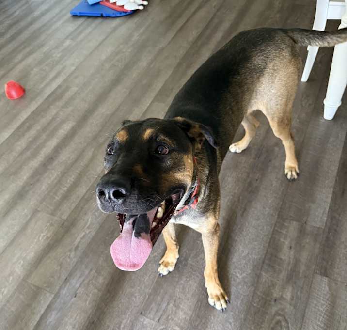 Photo of Marley