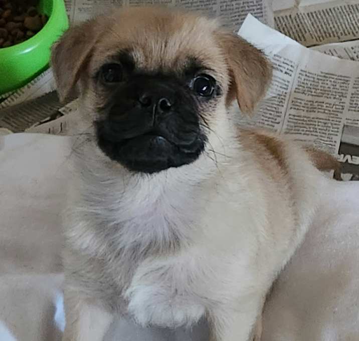 Photo of Blue