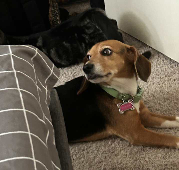 Photo of Lillie Mae