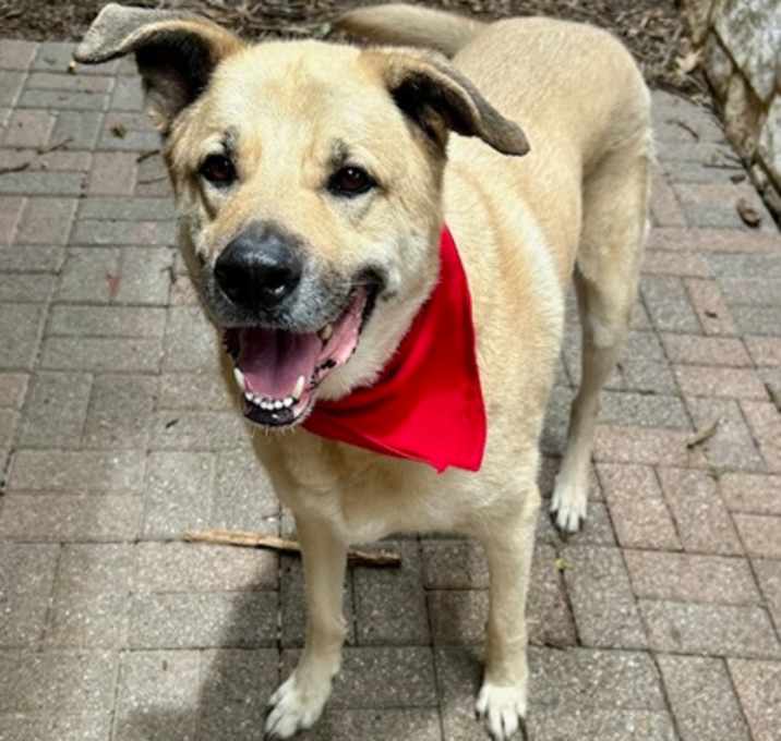 Photo of Harley