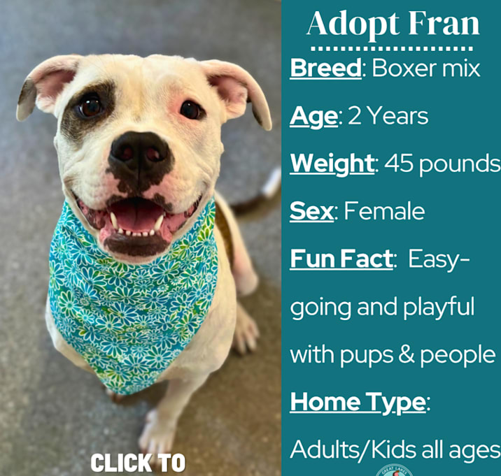 Photo of Fran