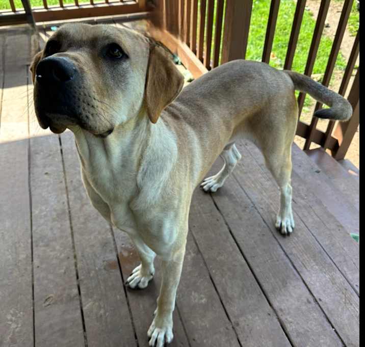 Photo of Thor