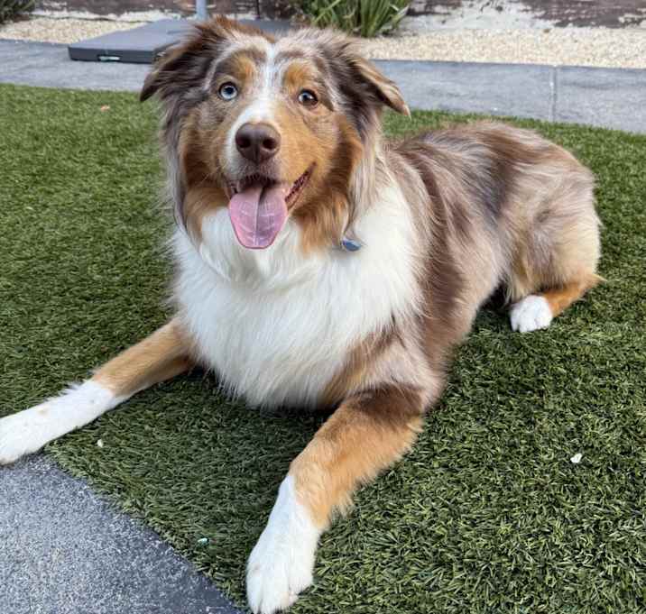 Photo of Mozzy