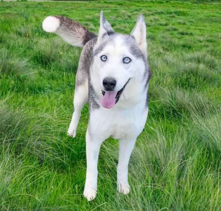 Photo of Zealous