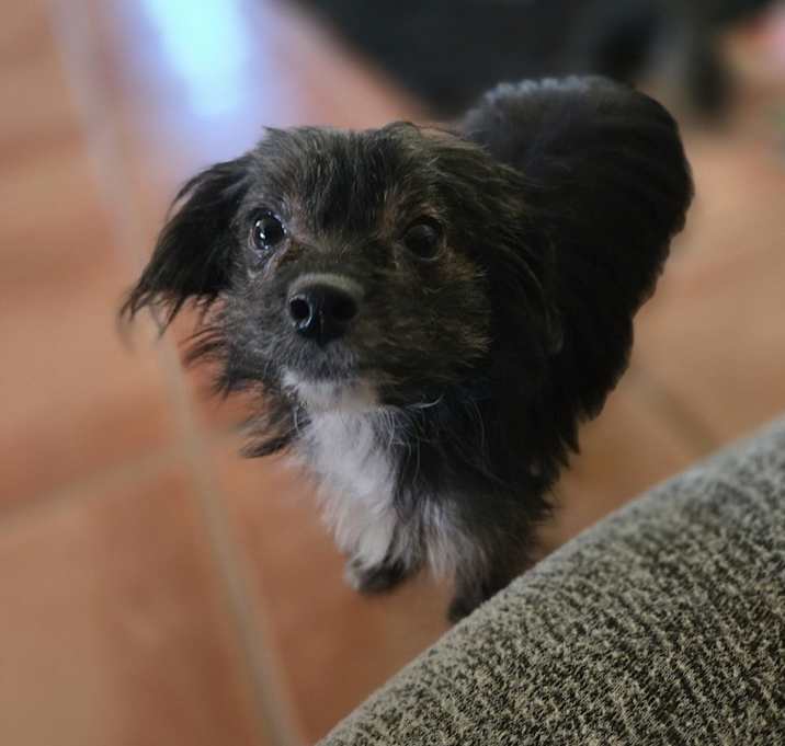 Photo of Betty