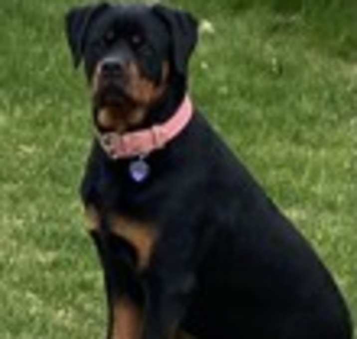Photo of HARPER