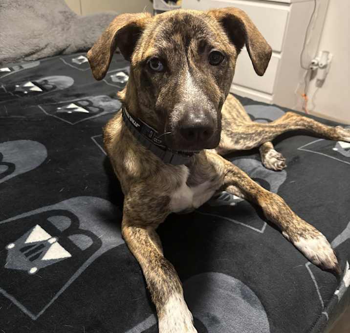 Photo of Zeus