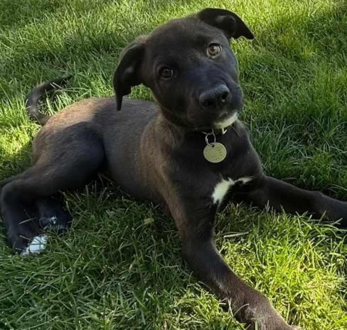 Photo of Ophelia