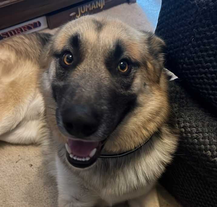 Photo of Odin