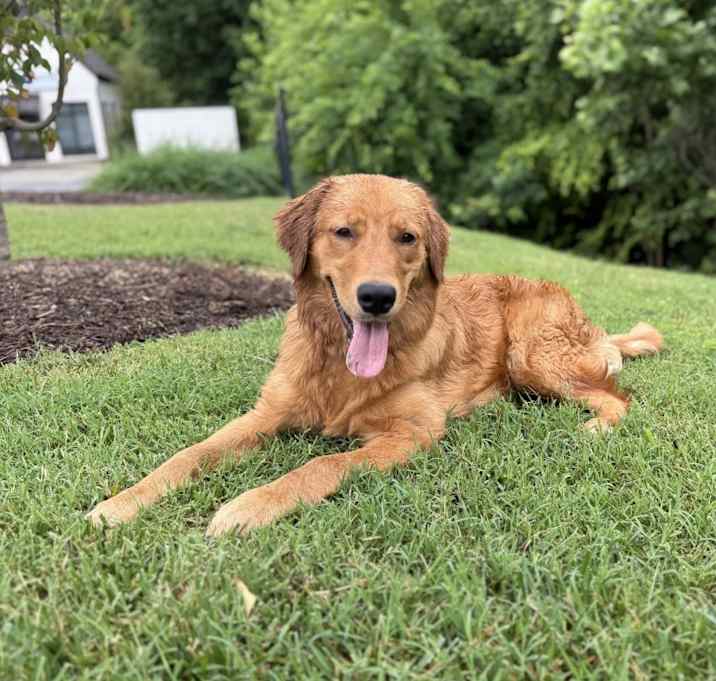 Photo of Leo