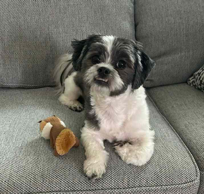 Photo of Wrigley
