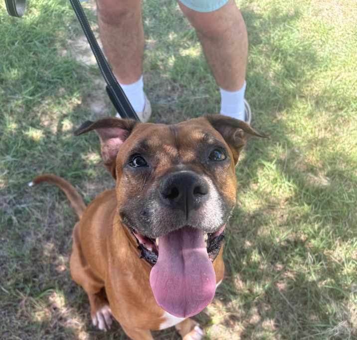 Photo of Gus