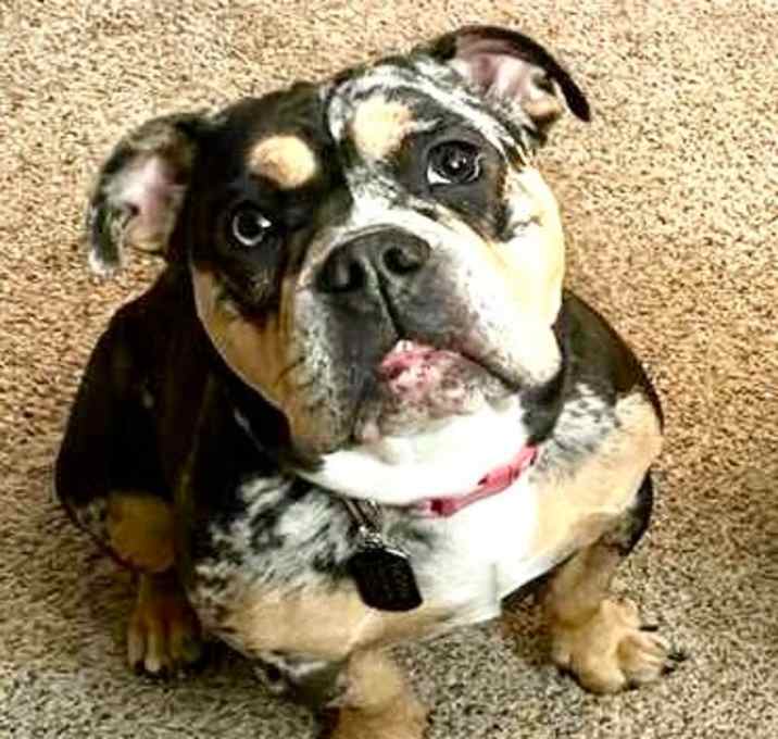 Photo of Fiona