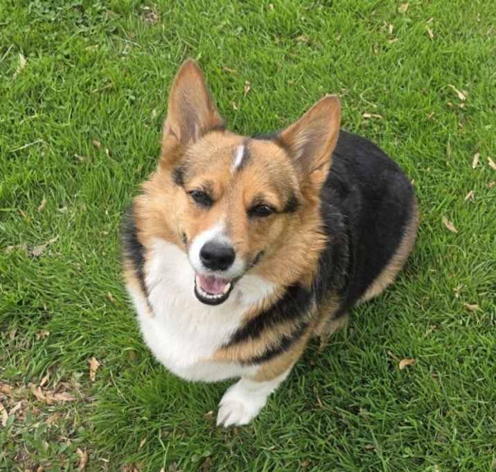 Photo of Wrigley