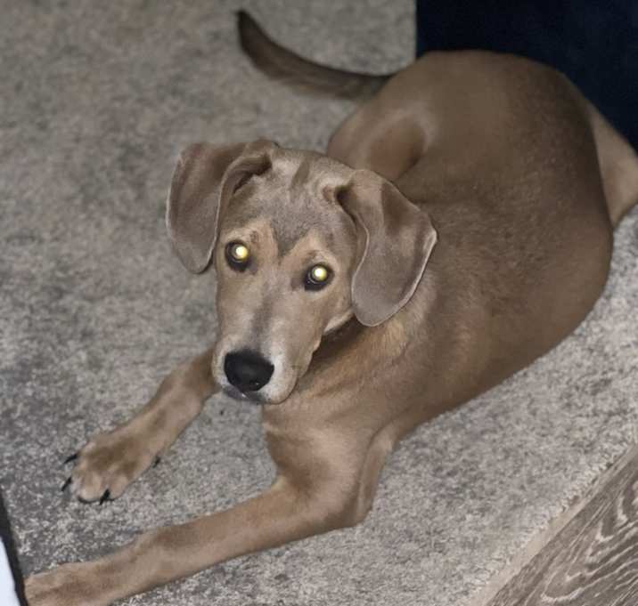 Photo of Bentley