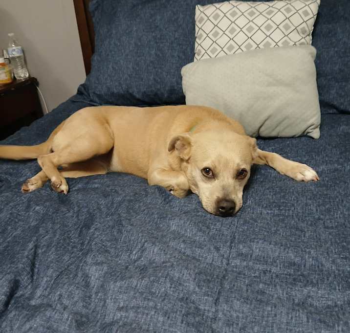 Photo of Elsie