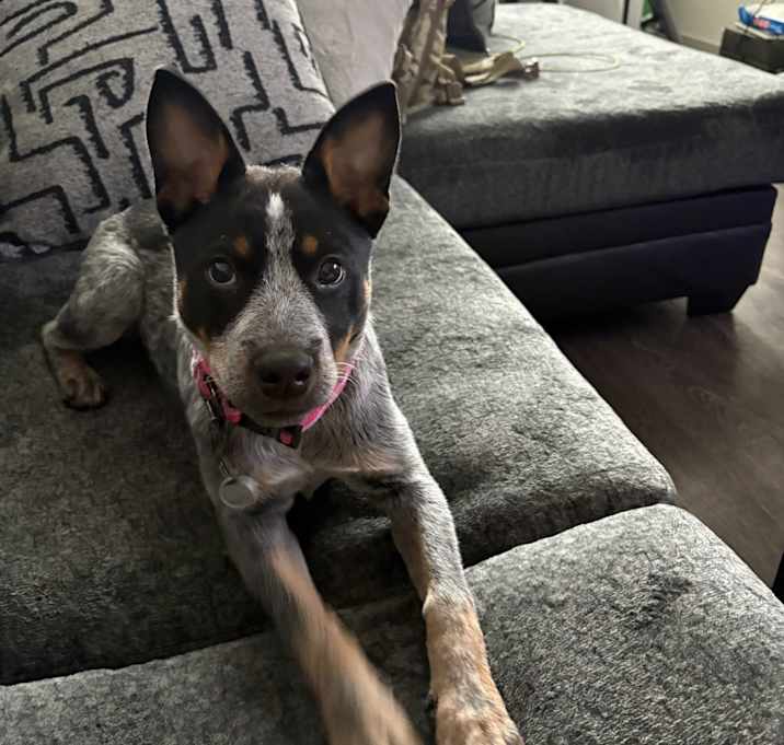 Photo of Sophie