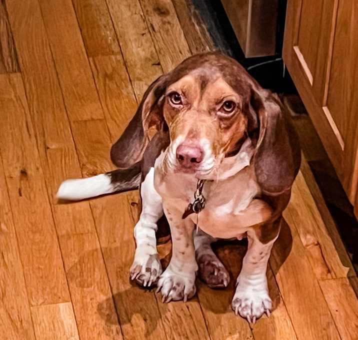 Photo of Winnie
