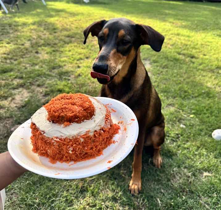 Photo of Ruby Roo