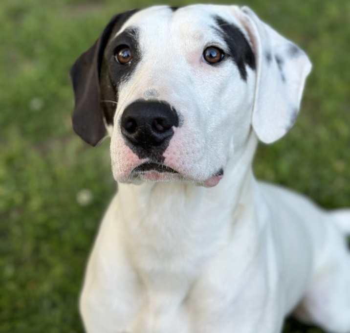 Photo of Winston