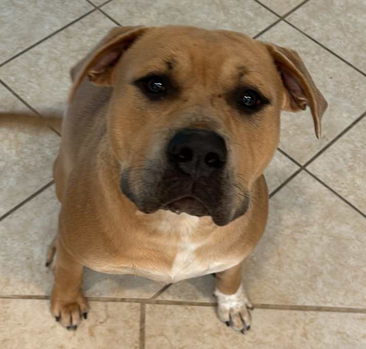 Photo of Griffin