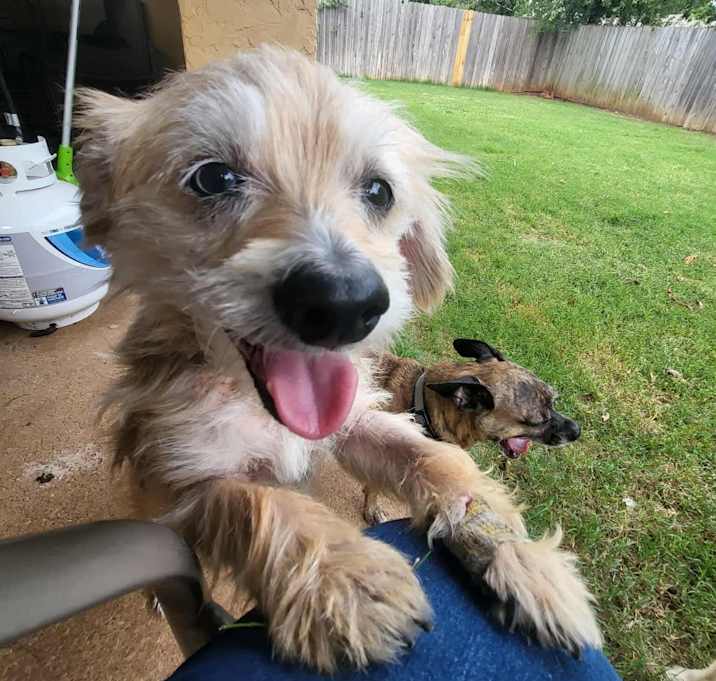 Photo of Chance