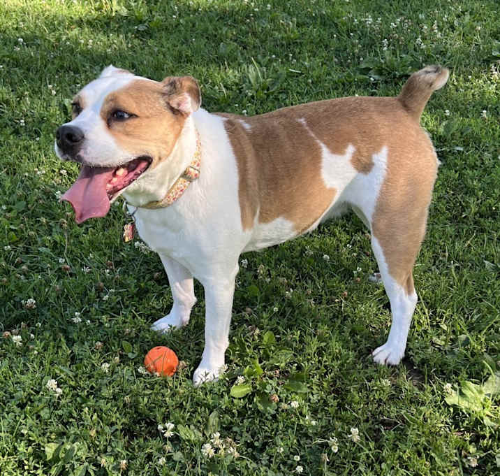 Photo of Zoey