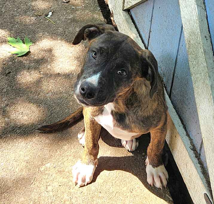 Photo of Duke