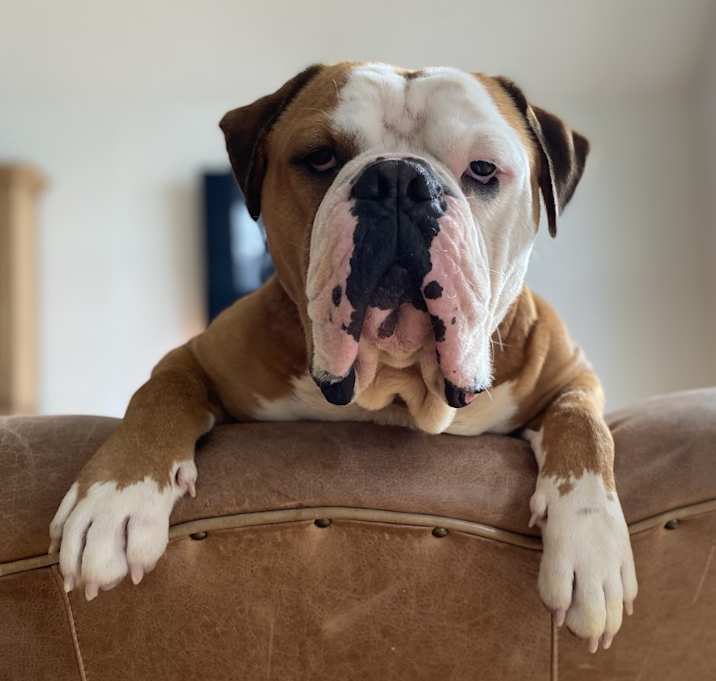 Photo of Max