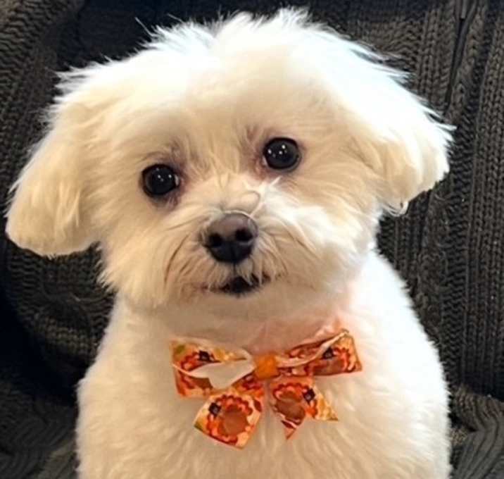 Photo of Riley