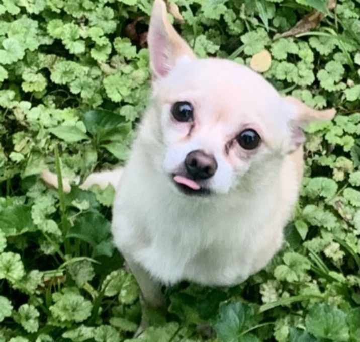 Photo of Mickey