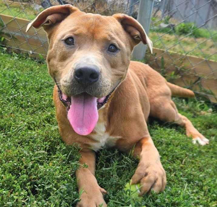 Photo of Sugar Ray