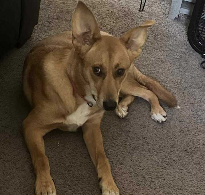 Photo of Roxie