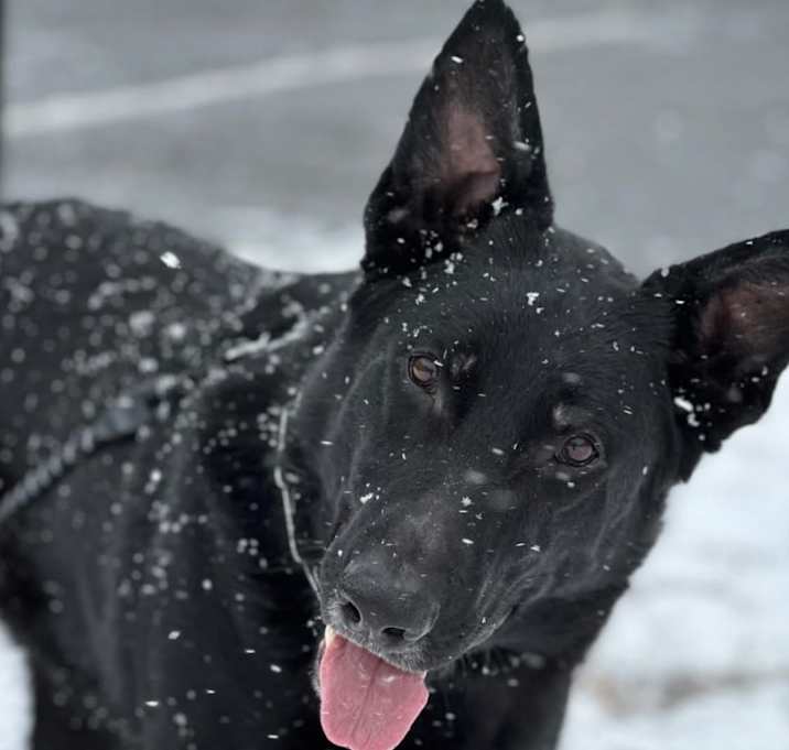 Photo of Vito