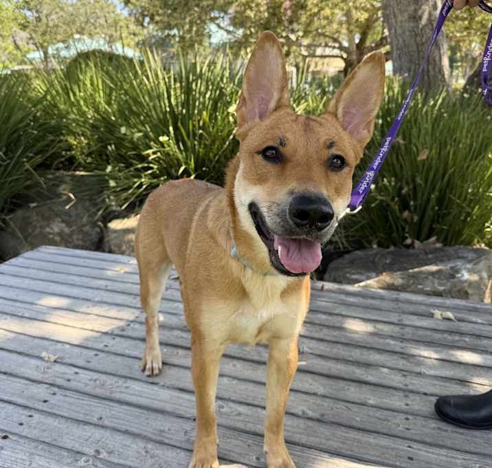 Photo of Lily