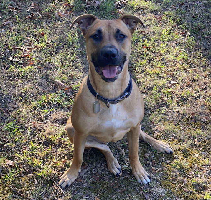 Photo of Clyde