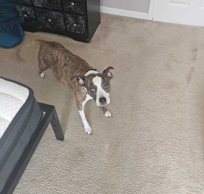 Photo of Coco