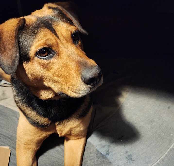 Photo of Lexi