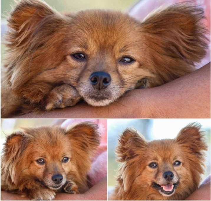 Photo of Rico