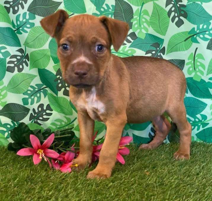 Photo of Annie