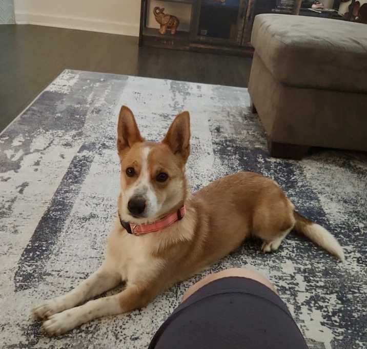 Photo of Lola