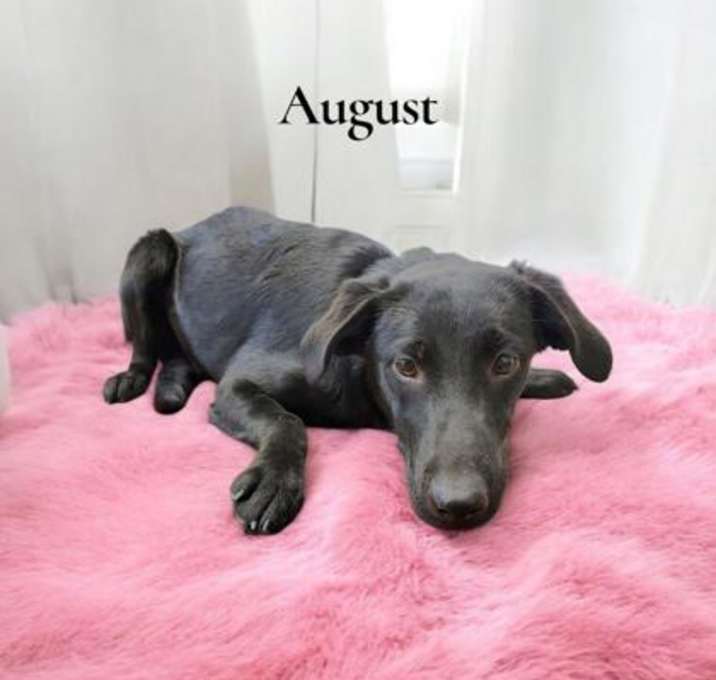 Photo of August